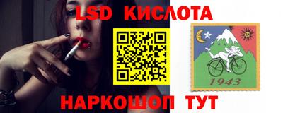 mdma Камышлов